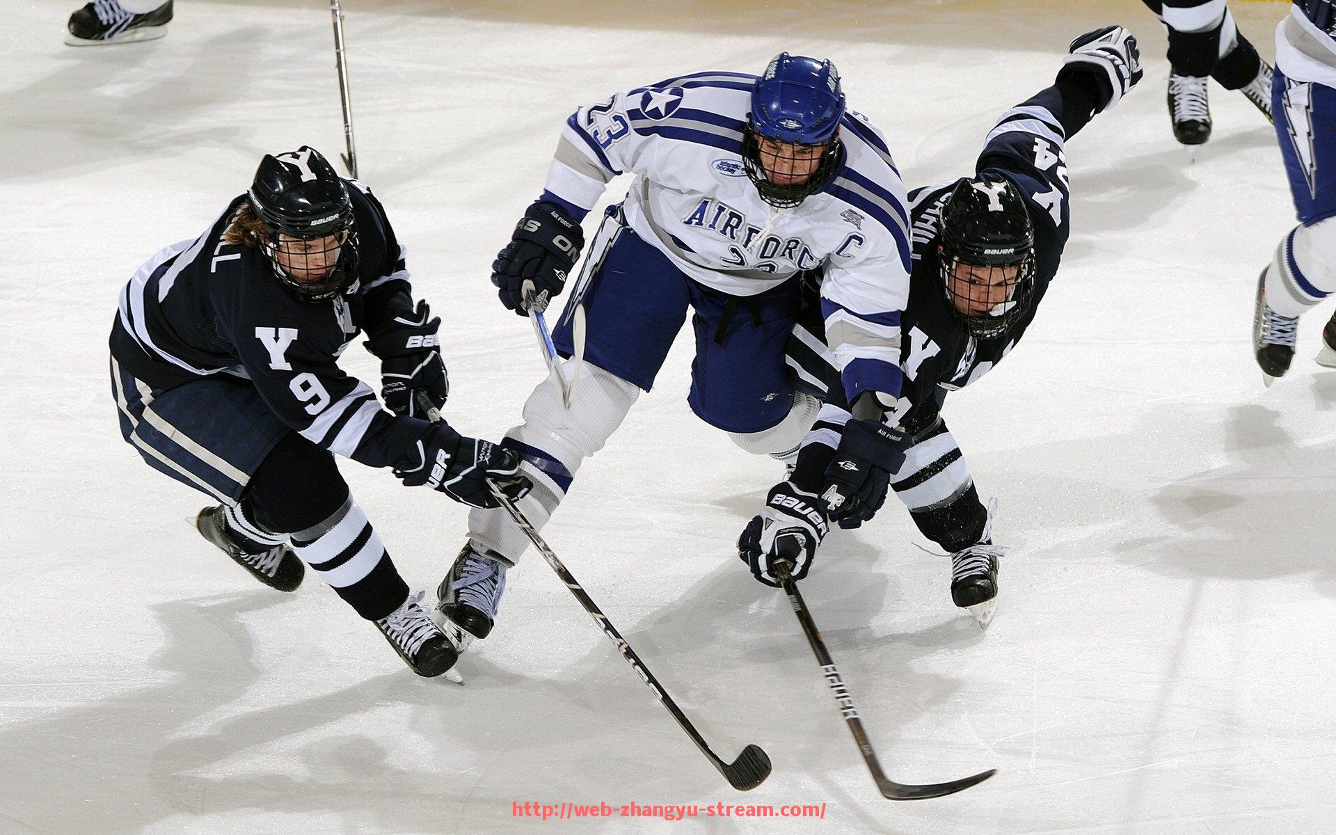 章鱼直播-德甲球队崩盘原因分析，典型案例及图表展示详细解读